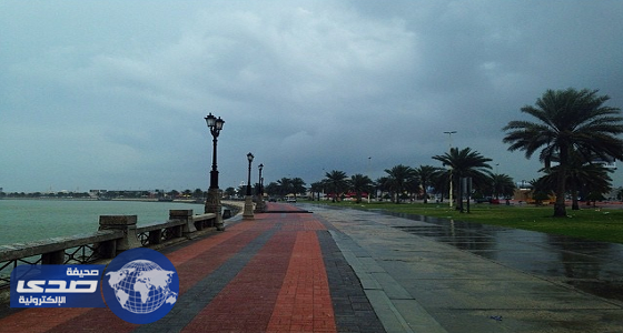 الأرصاد: عودة الأمطار الخميس القادم