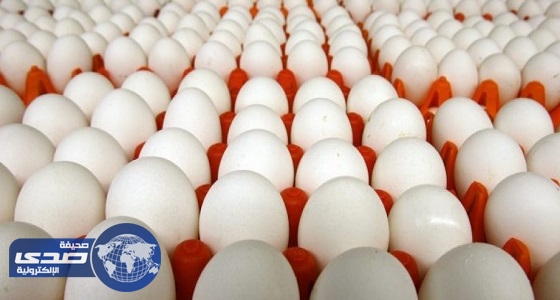 وزارة البيئة تحظر استيراد الطيور الحية وبيض التفقيس من الكويت