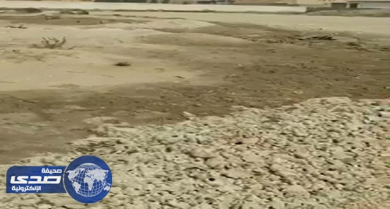 بالفيديو: مياه تداهم قبورا في الاحساء.. والأمانة تعلق
