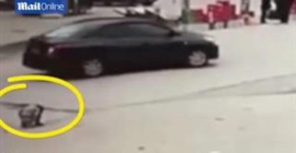 بالفيديو .. سيارة مسرعة تدهس طفلة أثناء قضائها حاجتها على الطريق