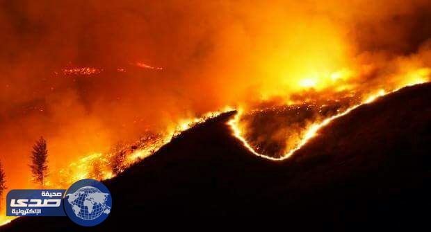احتواء حرائق الغابات بنيوزيلندا بعد التهام آلاف الأفدنة