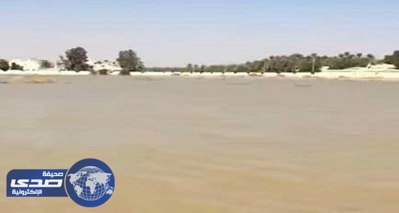 بالفيديو.. مواطن يتحسر على قبر والداه بعد غرق مقبرة الدلم