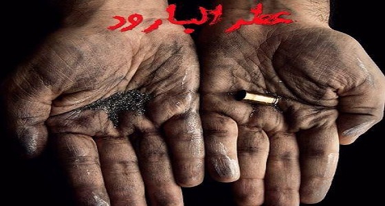 بالفيديو.. برومو أول فيلم يجسد مشاهد حقيقية من بطولات الحد الجنوبي