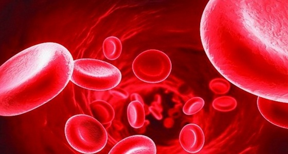 تعرف على 10 عوامل أساسية تمنعك من التبرع بالدم