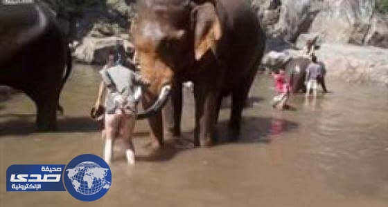 بالفيديو..فتاة حسناء حاولت تقبيل فيل ضخم  فحدثت الكارثة !!