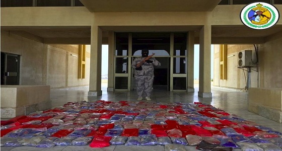 بالصور.. حرس الحدود يحبط تهريب ٥٦٩ كيلو حشيش في جازان