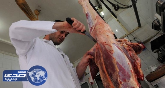 أمانة الطائف تمنع مواطناً من ذبح جمل مريض وتسويق لحمه