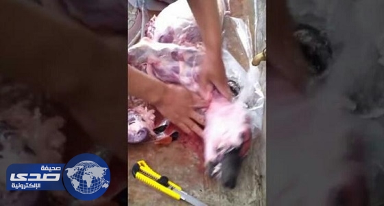 بالفيديو .. عمال مطعم يجهزون كلب للطهي بعد ذبحه