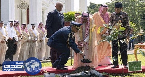 قصة زراعة «شجرة» بيد خادم الحرمين في إندونيسيا