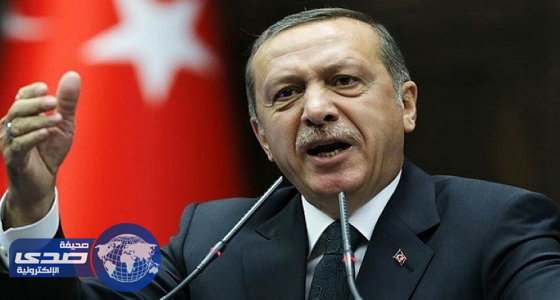 سويسرا ترفض ملاحقة شخض قضائيا بتهمة إهانة «أردوغان»