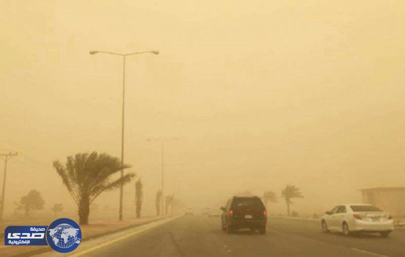 مستشفيات الرياض تستقبل 1302 حالة بسبب موجة الغبار