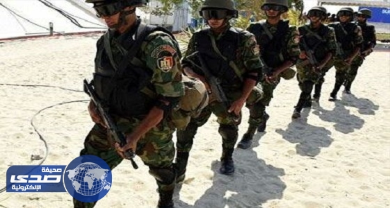 القوات المسلحة المصرية تضبط 12 من « أنصار بيت المقدس » بسيناء