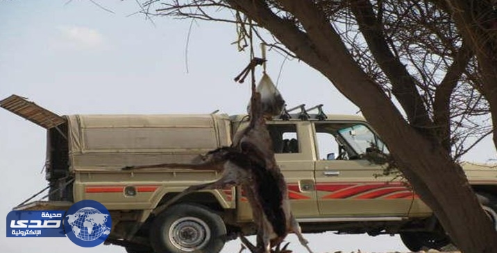سرقة سيارات رجال اعمال سعوديين ومليون ريال اثناء رحلة صيد لهم بالسودان