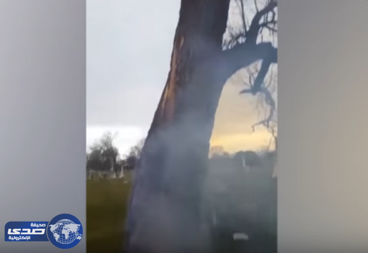 بالفيديو.. أحتراق شجرة داخل مقبرة بالولايات المتحدة بشكل غريب