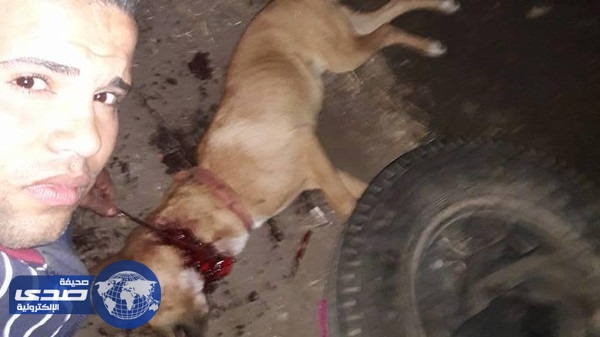 الشرطة المصرية تلاحق شابا ذبح كلبا قربانا للشيطان