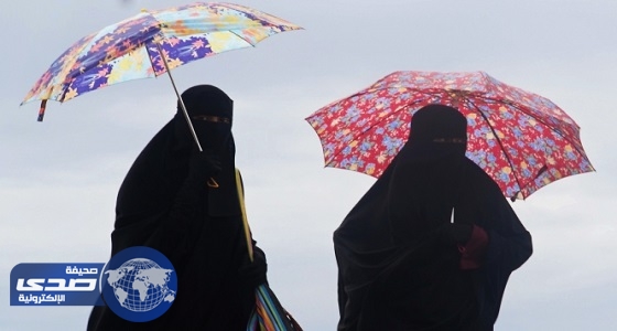 حظر ارتداء النساء للنقاب في الأماكن العامة بالنمسا