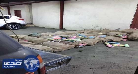 اﻹطاحة ب76 مخالفا وضبط كميات من نبات القات والمركبات المسروقة بجبال الحشر