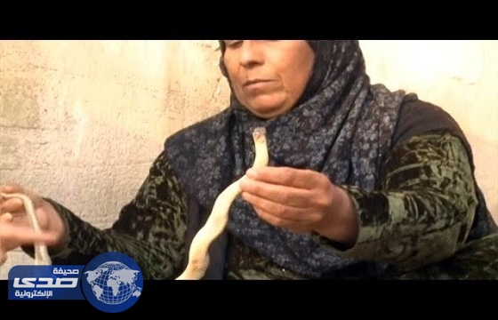 بالفيديو.. عراقية تتناول ثٌعباناً كل شهر .. والسبب !
