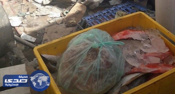 بلدية المجاردة تصادر أكثر من 50 كجم أسماك فاسدة