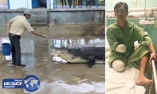 بالصور.. نجاة عالم بيئي من بين فكي تمساح بأعجوبة