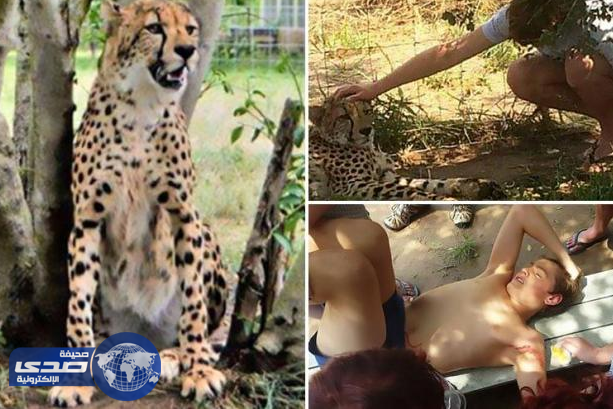 بالصور.. انقاذ مراهق من بين فكي فهد داخل حديقة حيوانات