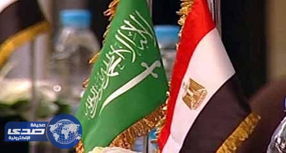 مجلس الأعمال السعودي المصري يفعل الاتفاقيات الاقتصادية بين البلدين