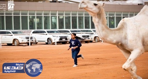 بالفيديو.. الطفلة نورة تكشف سبب مرافقتها ناقة والدها في «مزايين الإبل»