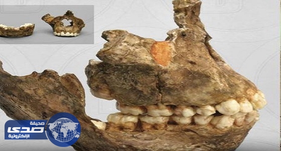 بالفيديو.. اكتشاف جديد قد يغير تاريخ المملكة
