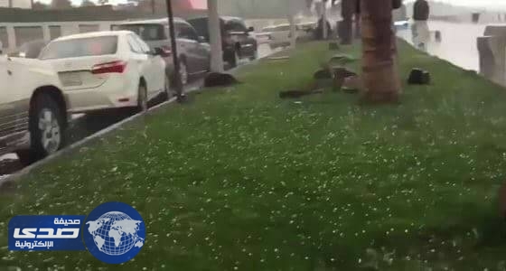 بالفيديو.. أمطار الخير والبركة تتساقط على جدة