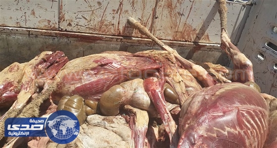 مواطنون يعثرون على عظام حمير مذبوحة بالمغرب