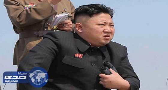 ثغرة في دفاعات كوريا الشمالية تهدد بتدميرها
