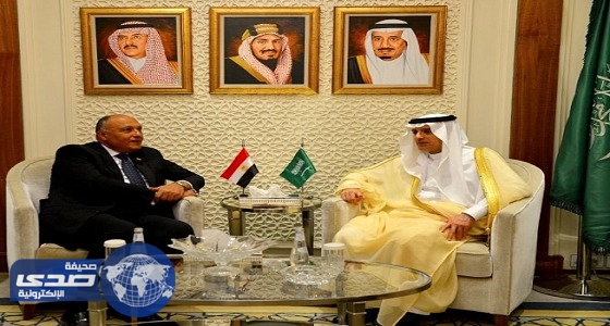 وزير الخارجية يؤكد عمق العلاقات السعودية المصرية