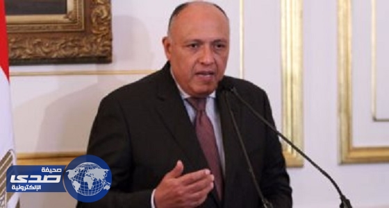 مصر تطالب بضرورة إنهاء الصراع العسكري في سوريا