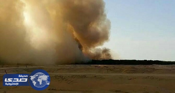 فرق الإطفاء تكافح حريقا هائلا في غابات المانجروف بجزيرة تاروت