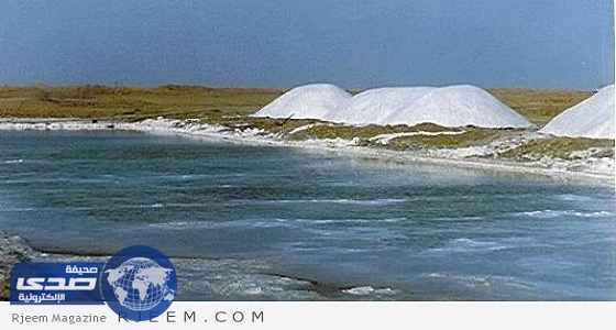 بالفيديو.. إجابة كوميدية لعامل عن استخراج الملح من البحر