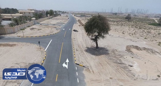 تغير مسار طريق رئيسي بالشارقة للحفاظ على شجر عمرها 200 عام فى الإمارات