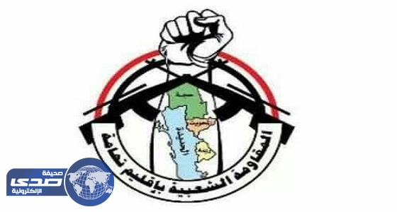 المقاومة الشعبية تقتل 11 حوثيا بالحديدة