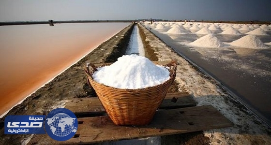 ⁠⁠⁠التاريخ المجهول لـ ” الملح ” أبرزه استخدامه في الحروب
