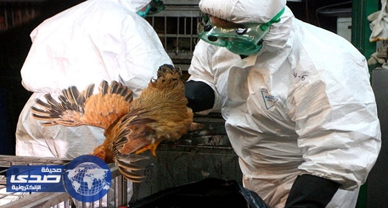 &#8221; صحة الحيوان &#8221; تعلن تفشي إنفلونزا الطيور في إيران
