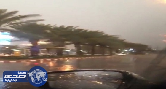 بالفيديو.. تساقط أمطار غزيرة في بيشة
