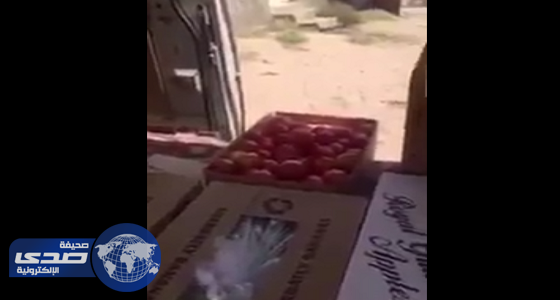 بالفيديو.. ضبط تمور وطماطم فاسدة قبل إعادة بيعها من جديد