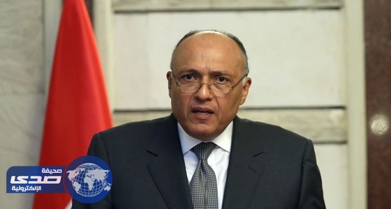 وزير الخارجية المصري: التعاون الدولي لمواجهة الإرهاب أصبح ضرورة