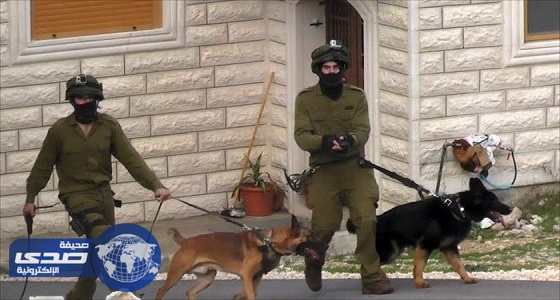 القوات الإسرائيلية تهاجم الأسرى المضربين عن الطعام بالكلاب البوليسية
