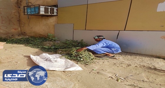 ” نظافتنا تسمو بتعاوننا ” تواصل الجهود في نظافة محافظة احد المسارحة بجازان وقراها