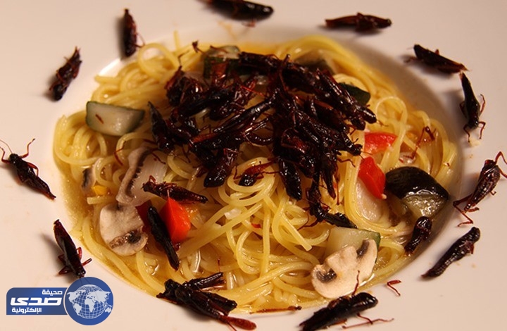 بالصور.. بعد نجاح ” مكونة الصراصير ” مطعم ناغي يٌقدم ” مكرونة بالحشرات “