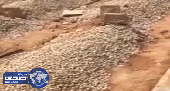 بالفيديو.. وفاة مواطن بعد دفن زوجته بساعات