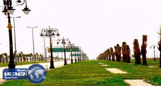 حملة على ” تويتر ” للإفراج عن سجناء القضايا الحقوقية في رمضان