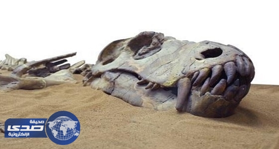 العثور على بقايا آخر ديناصورات أفريقيا يعود تاريخه لـ66 مليون سنة