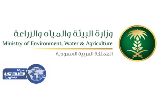 «الشورى» يطالب باستمرار دعم الكهرباء والمياه للأسر السعودية