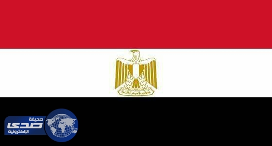 الحكومة المصرية تعدل قواعد منح الإقامة للأجانب